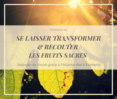 Programme Récolter les fruits